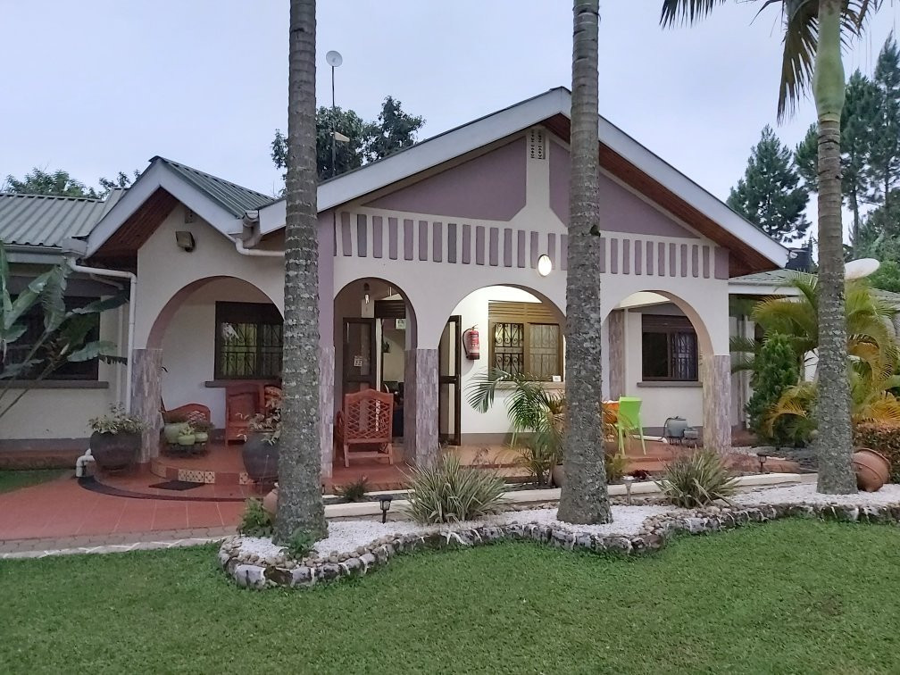 Sheevys Bed and Breakfast主图