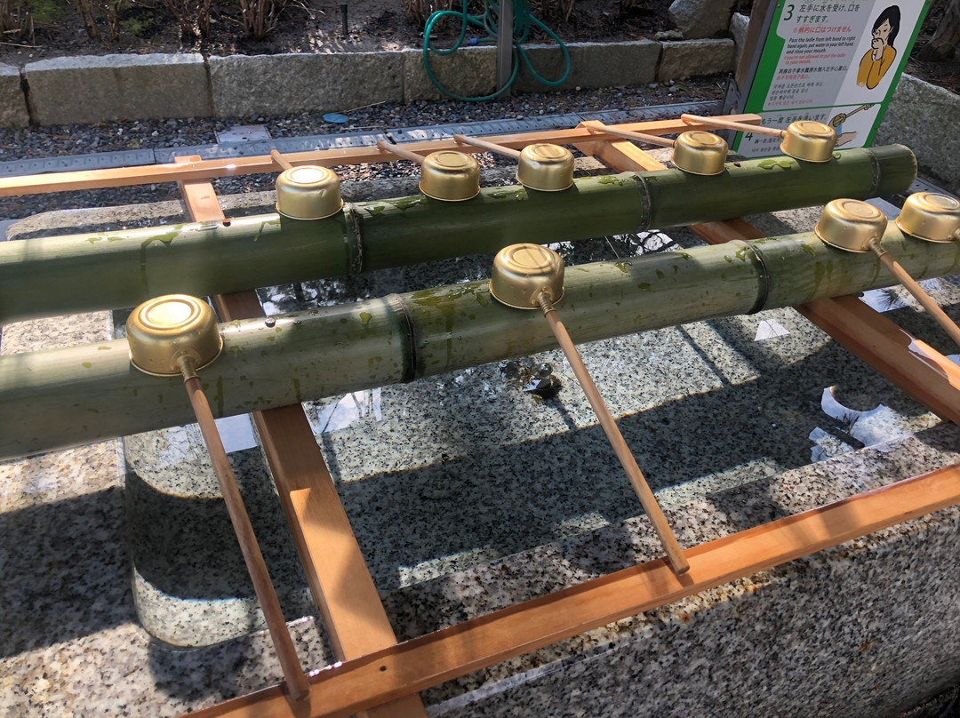 Hakusan Shrine景点图片