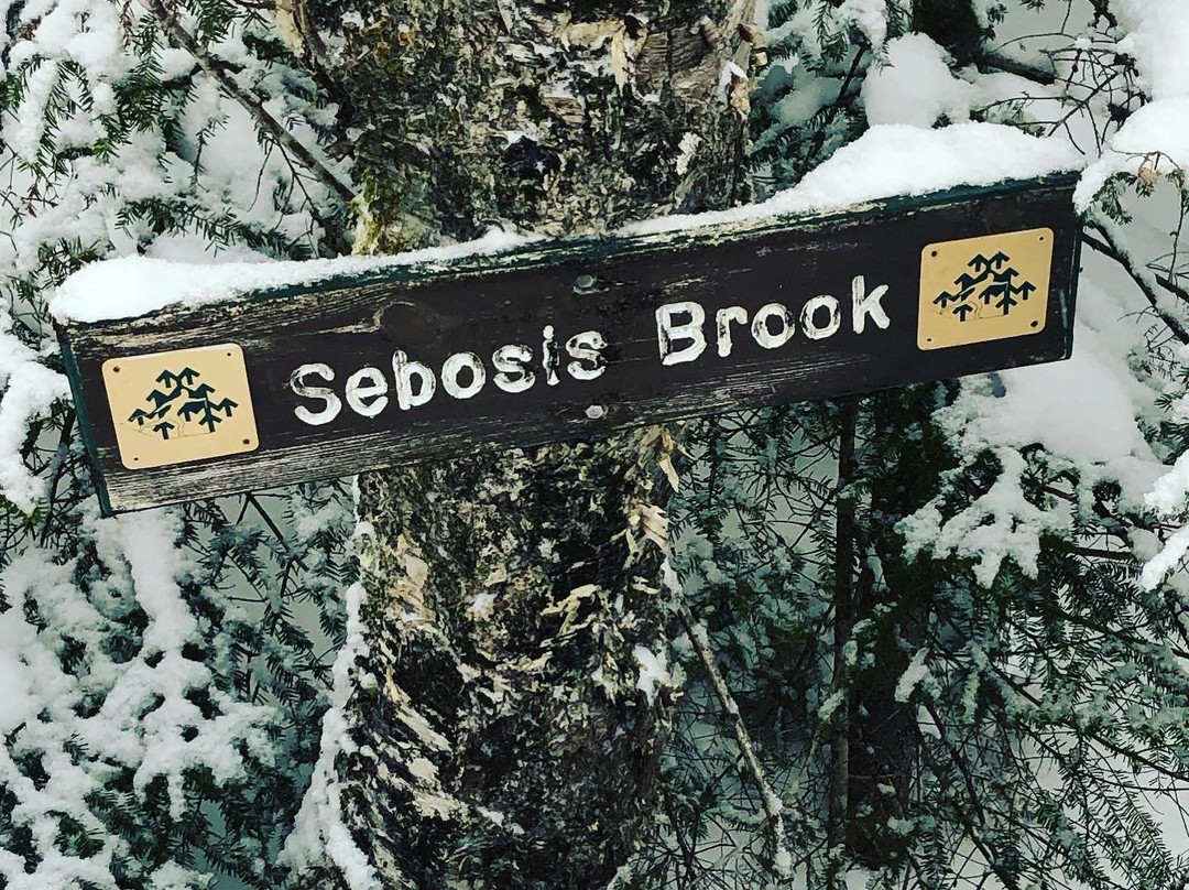 Bretton Woods Nordic Ski Area-布雷顿森林必去景点