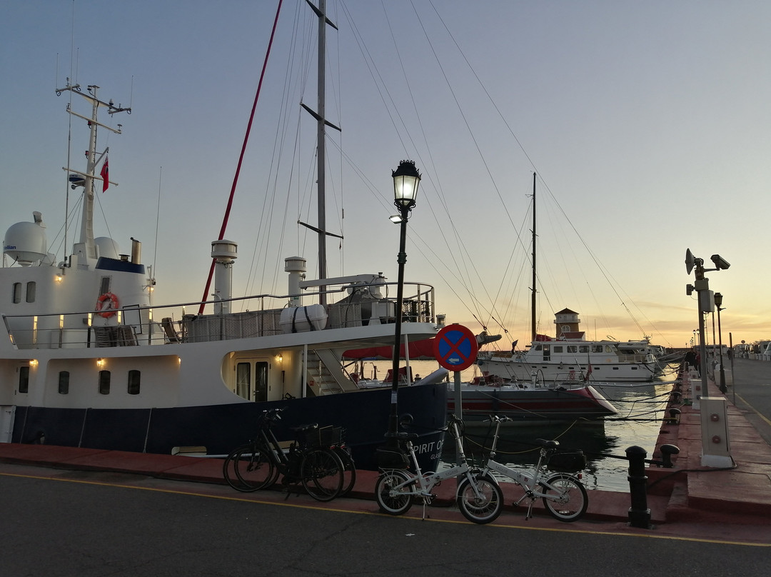 Puerto Almerimar景点图片