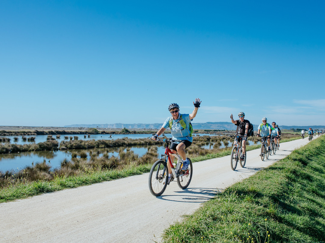 Hawke's Bay Trails景点图片