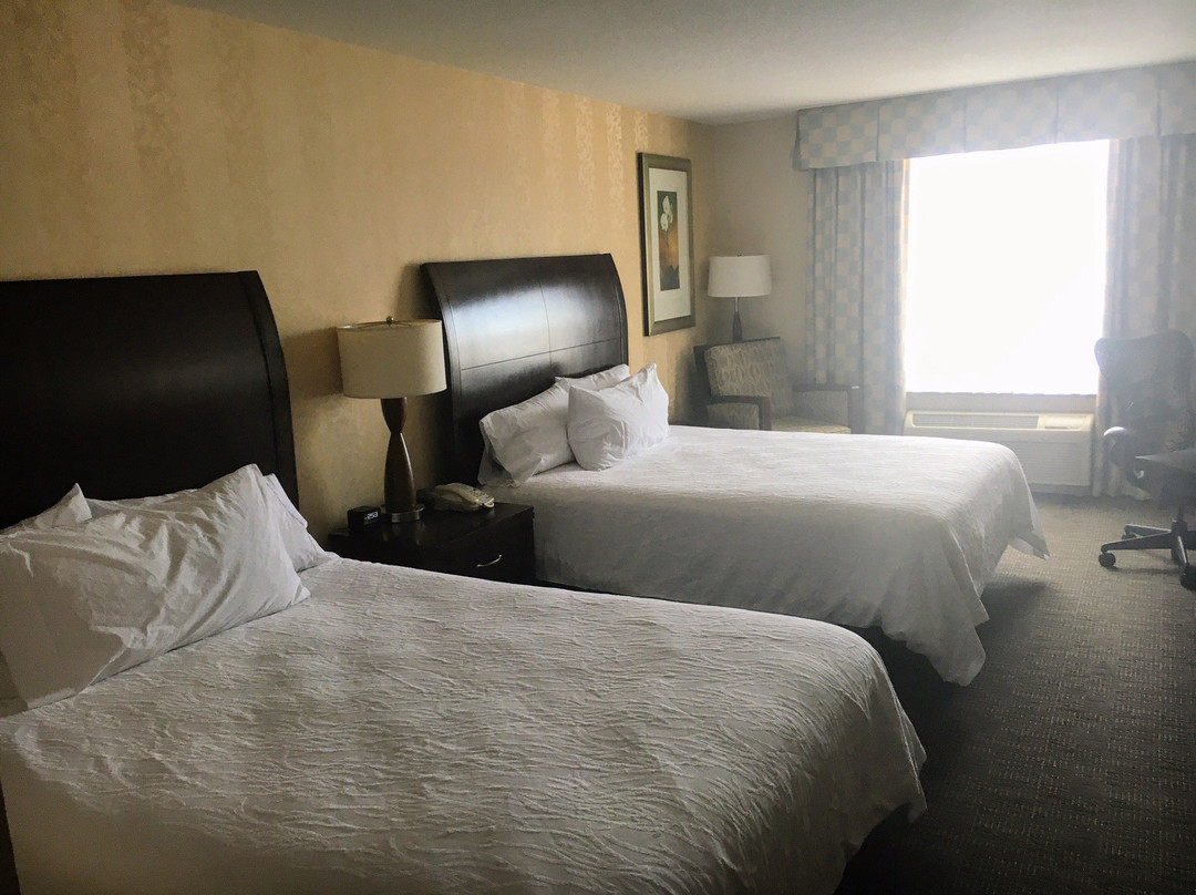 曼凯托市中心希尔顿花园酒店主图