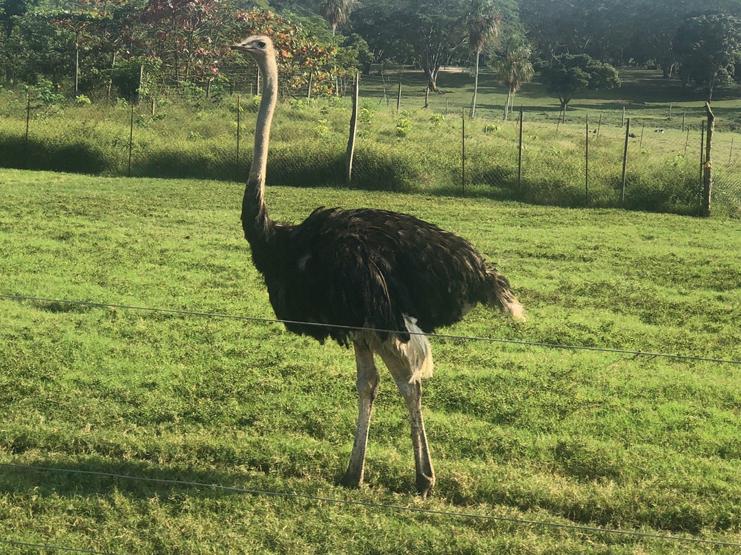 Yumká-Villahermosa必去景点