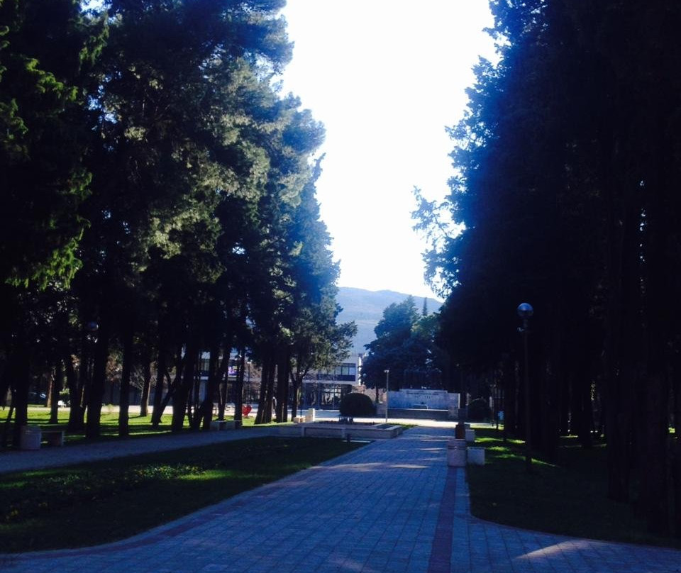 Gradski Park景点图片