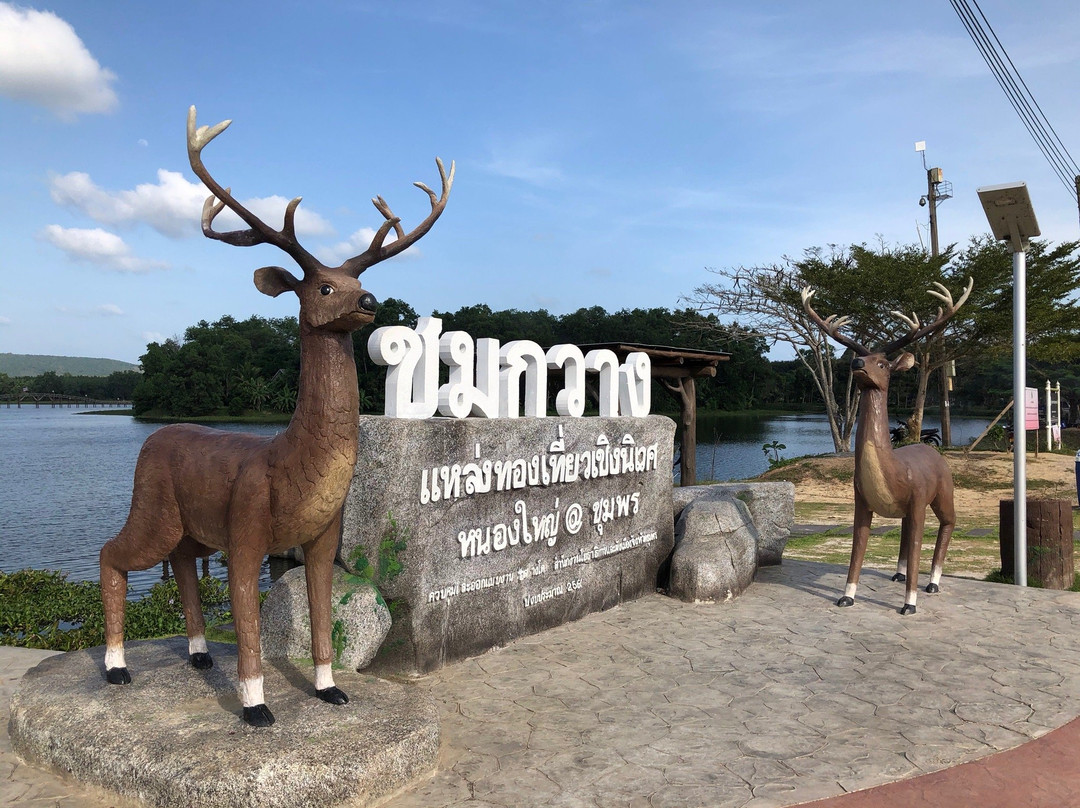 Nong Yai Tang Chang Public Park景点图片