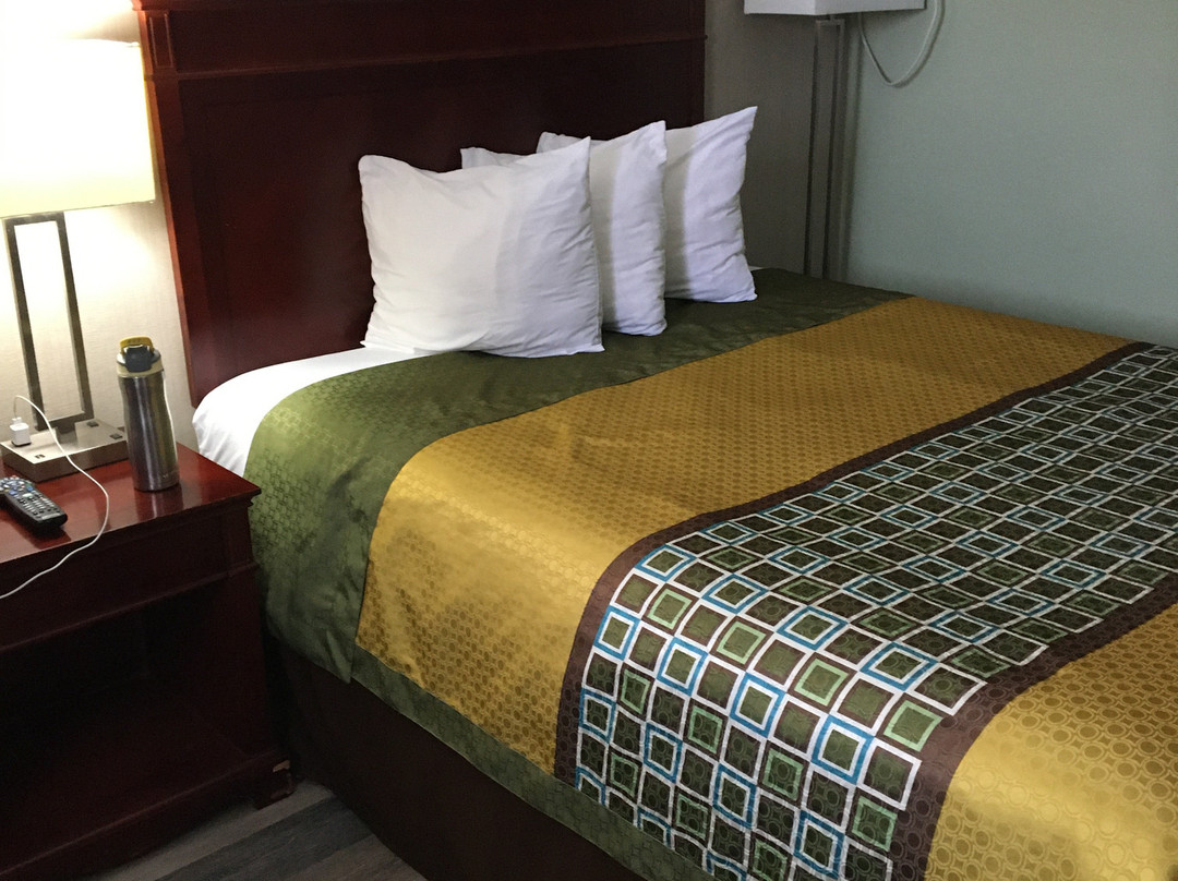 Perth Plaza Motel主图