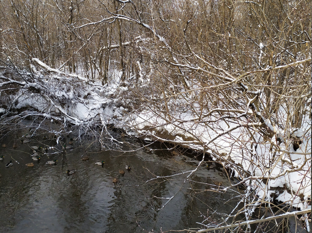 V. Mayakovskiy Central Park of Culture and Recreation-叶卡捷琳堡必去景点