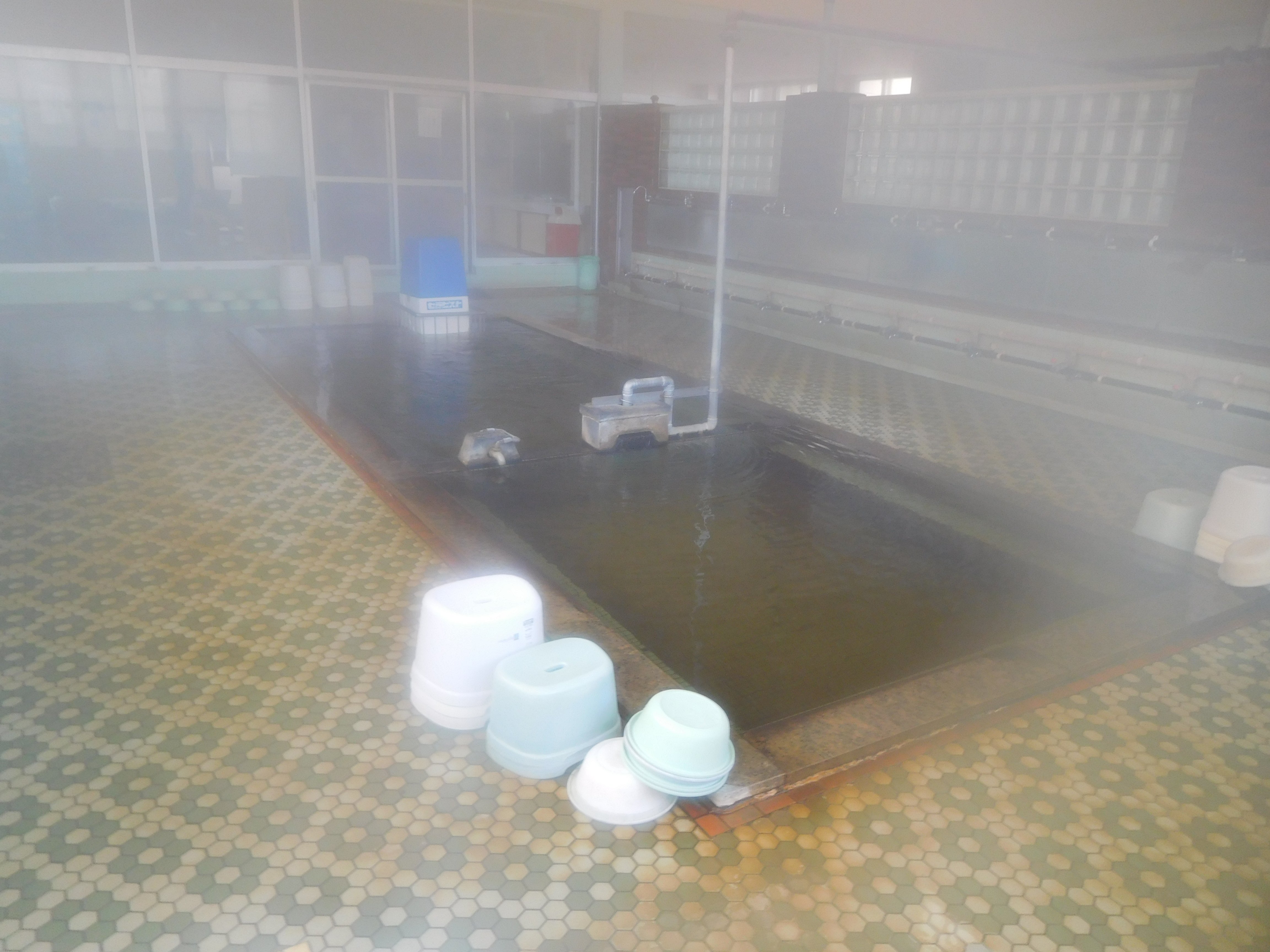 Tamakatsu Onsen-浴室