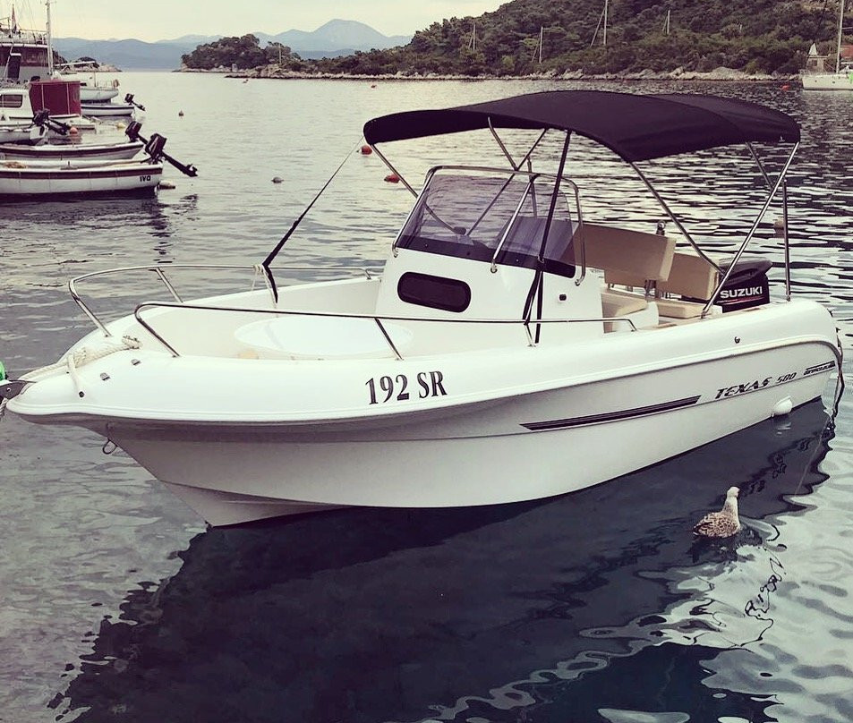 Island Boat Rentals景点图片