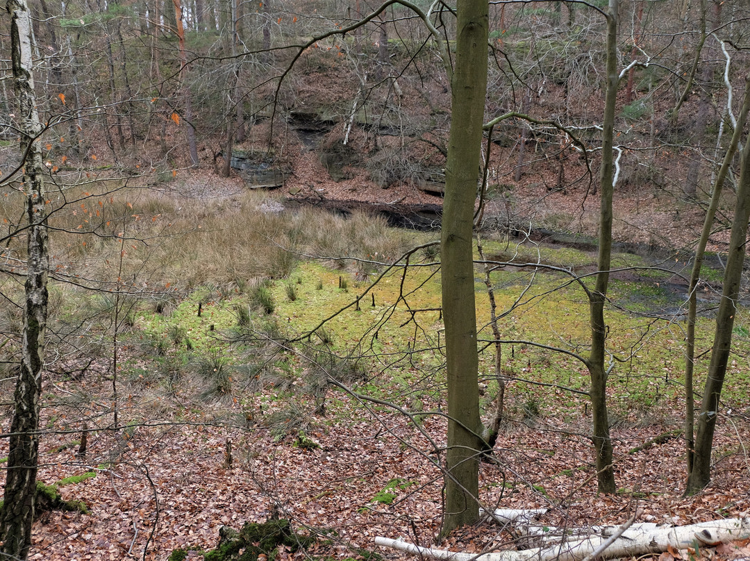 Velpker Schweiz-Velpke必去景点