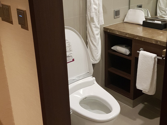 蔚山乐天酒店主图