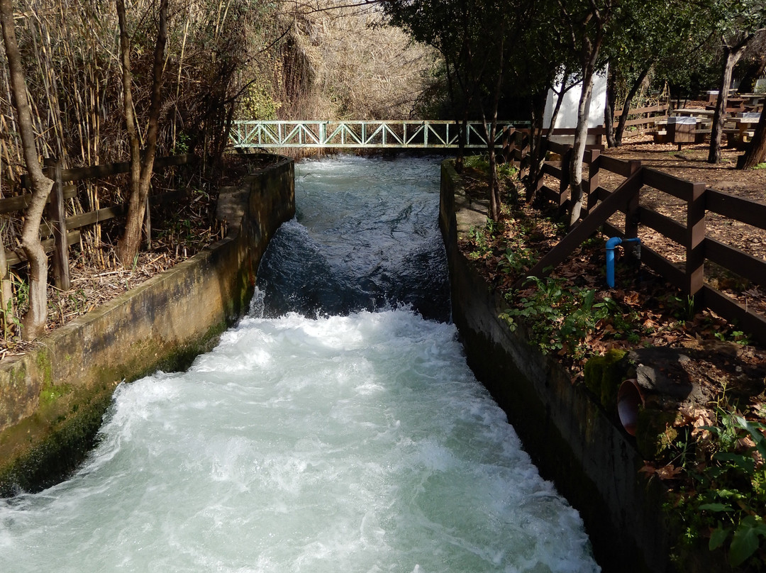 Tel Dan-加利利必去景点