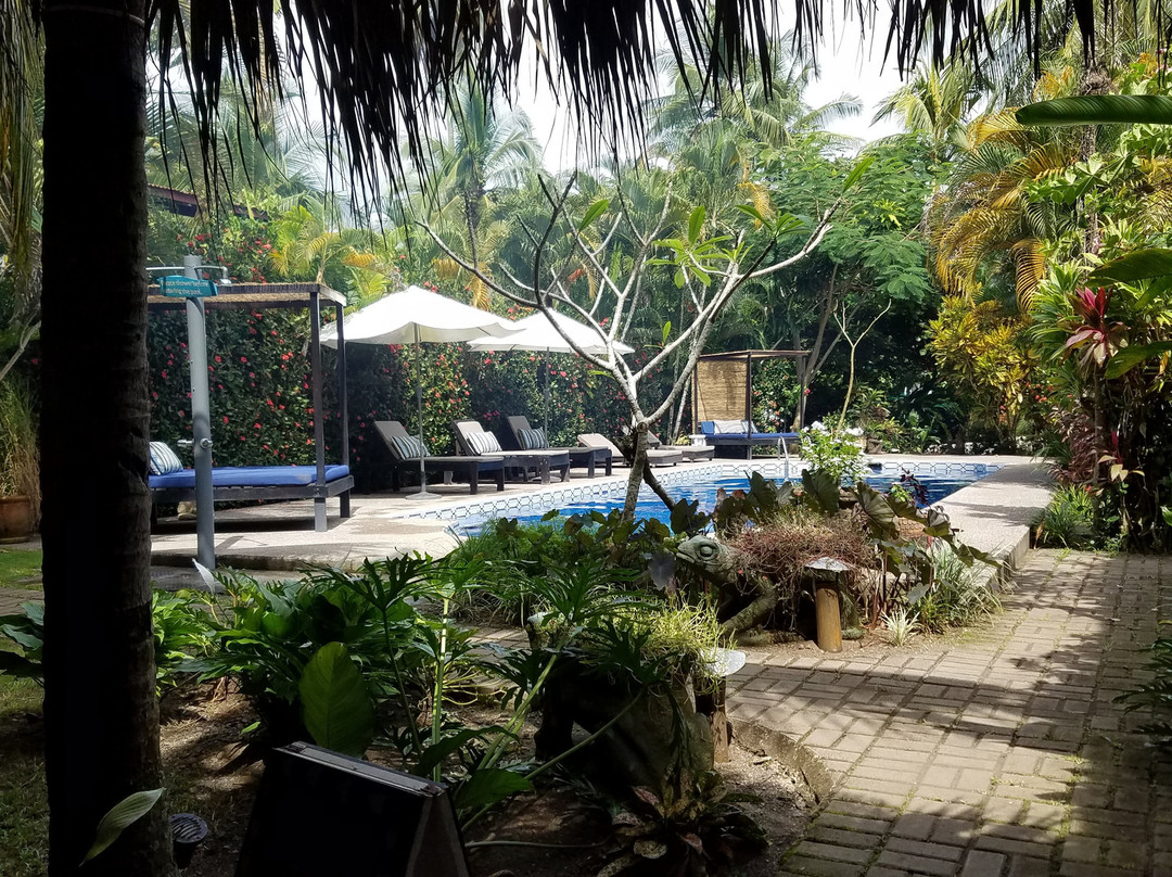 Encantada Ocean Cottages主图