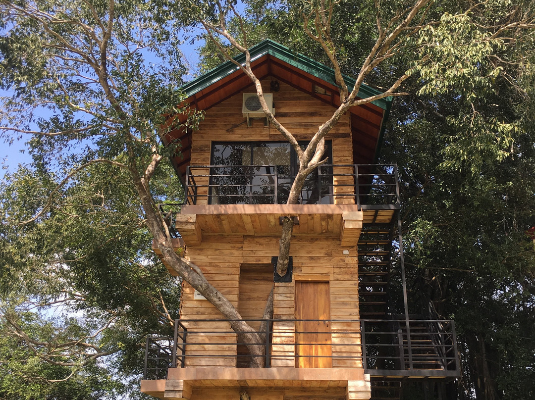 The Lion Kingdom主图