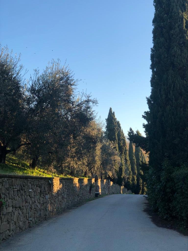 Agriturismo Terre di Leonardo-portrait