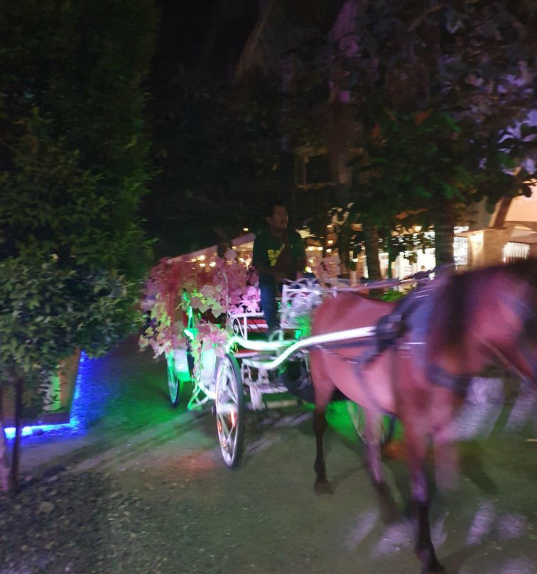 Paseo de Santiago景点图片