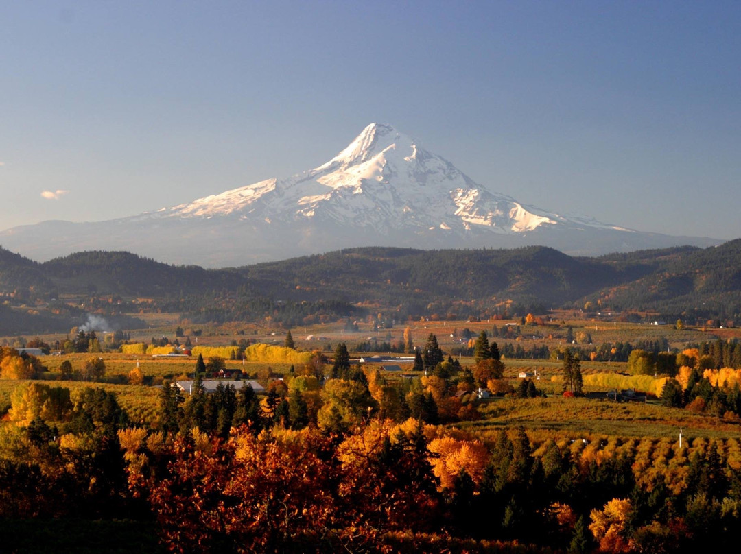 Hood River Suites Extended Stay Apartment Hotel主图