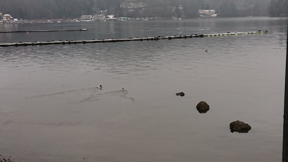 Lake Nojiri-信浓町 必去景点