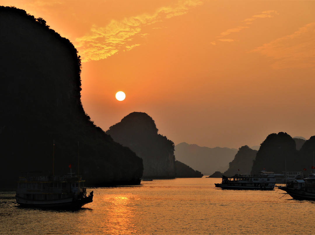 Bien Ngoc cruises景点图片