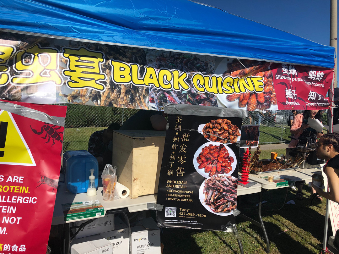 Taste of Asia Festival