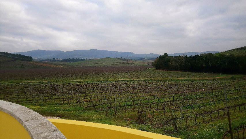 Quinta do Gradil Wine Tourism景点图片