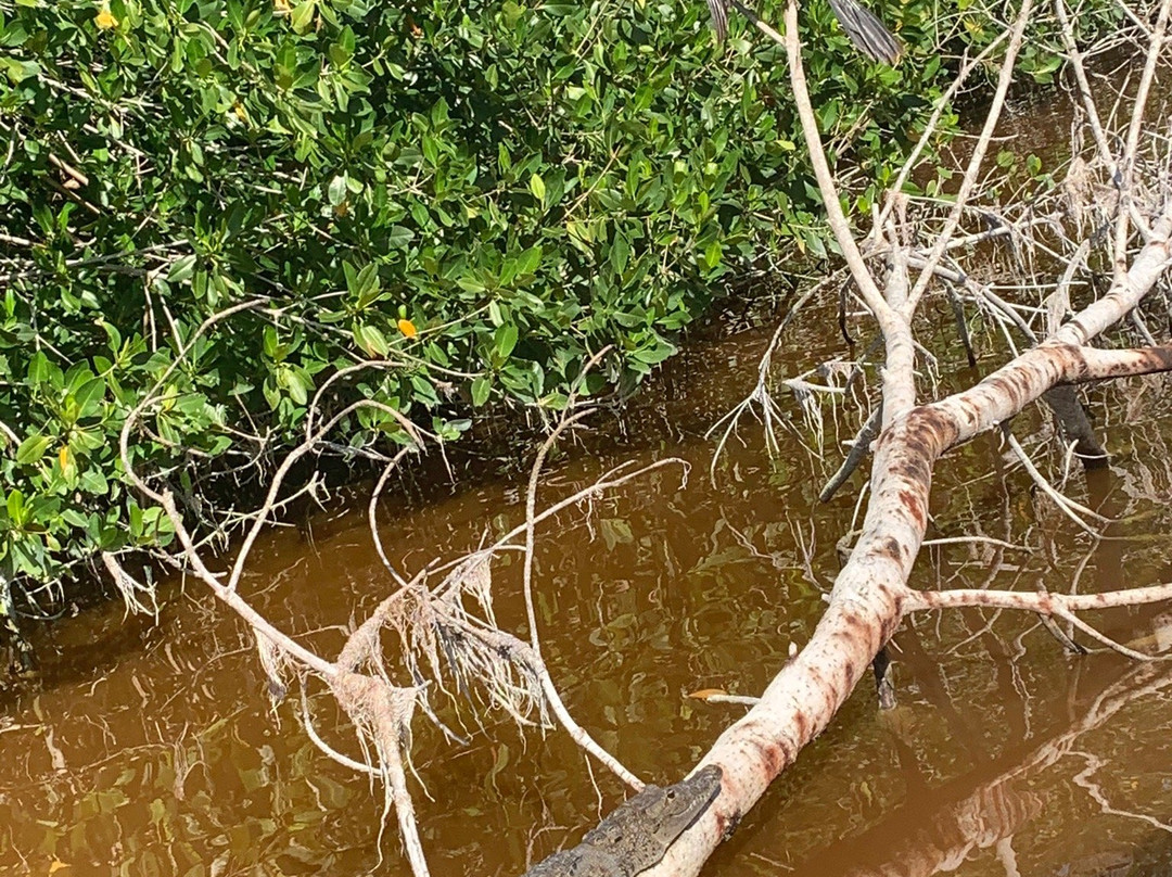 Circuito Ojo de Agua Baldiosera-塞莱斯顿必去景点