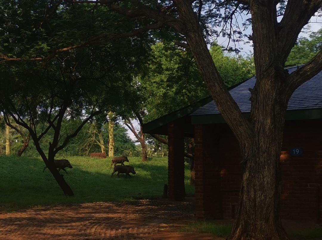 Warmbaths, A Forever Resort主图