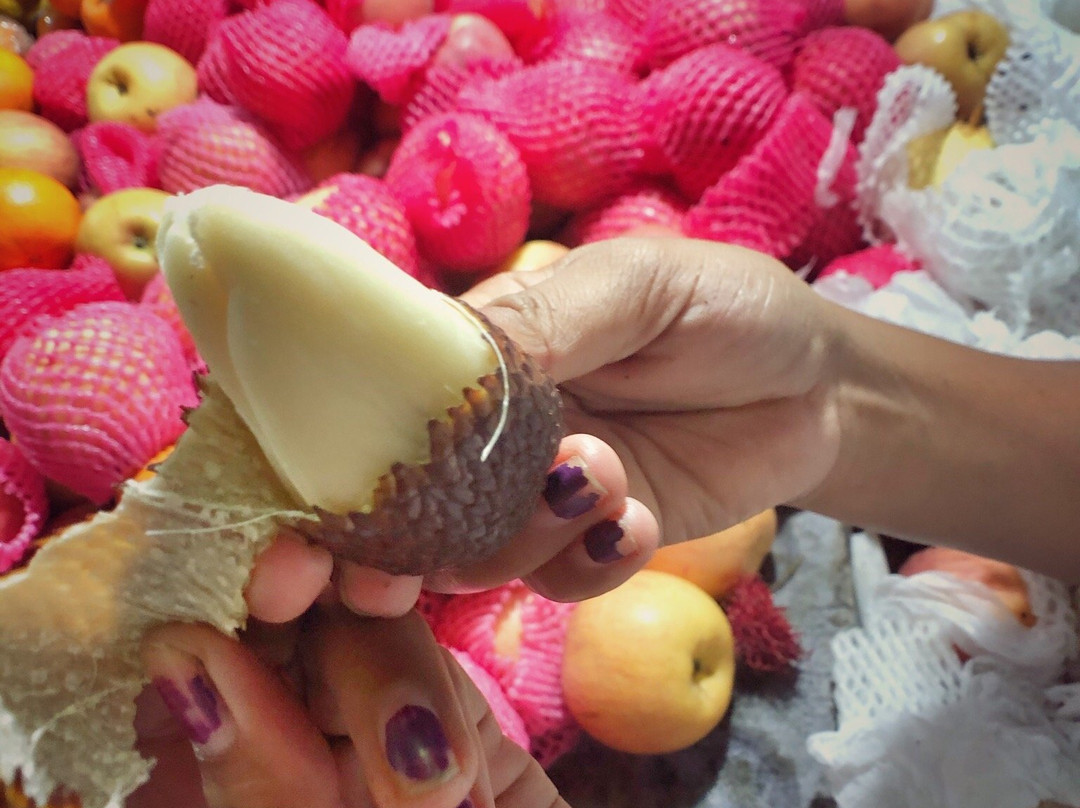 Breezy Tours-登巴萨必去景点