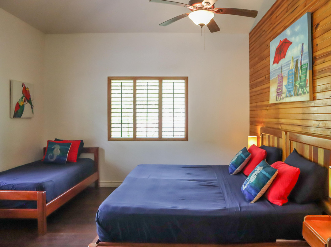 Turtle Beach House主图