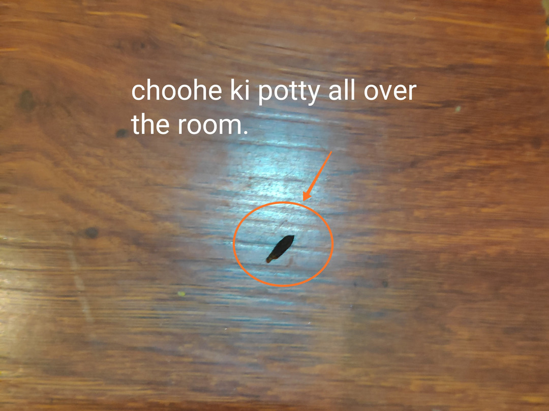 Hotel Subash International主图