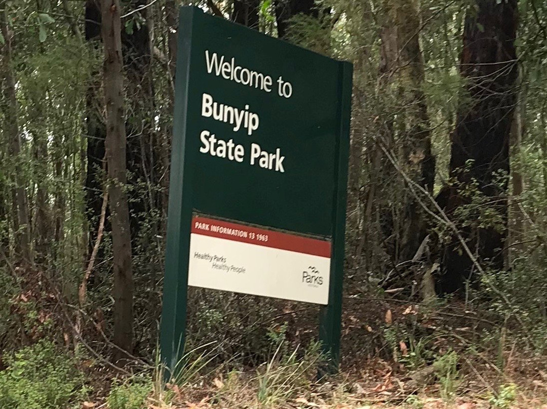 Bunyip State Park景点图片