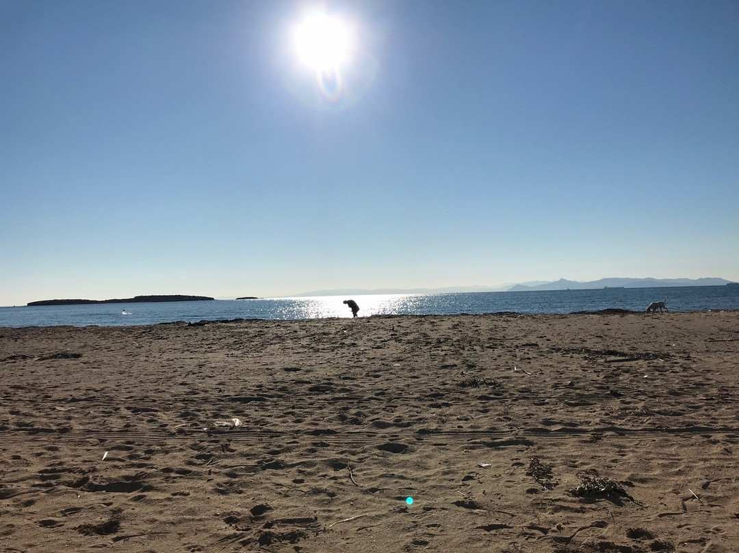 Thalassea-Voula必去景点