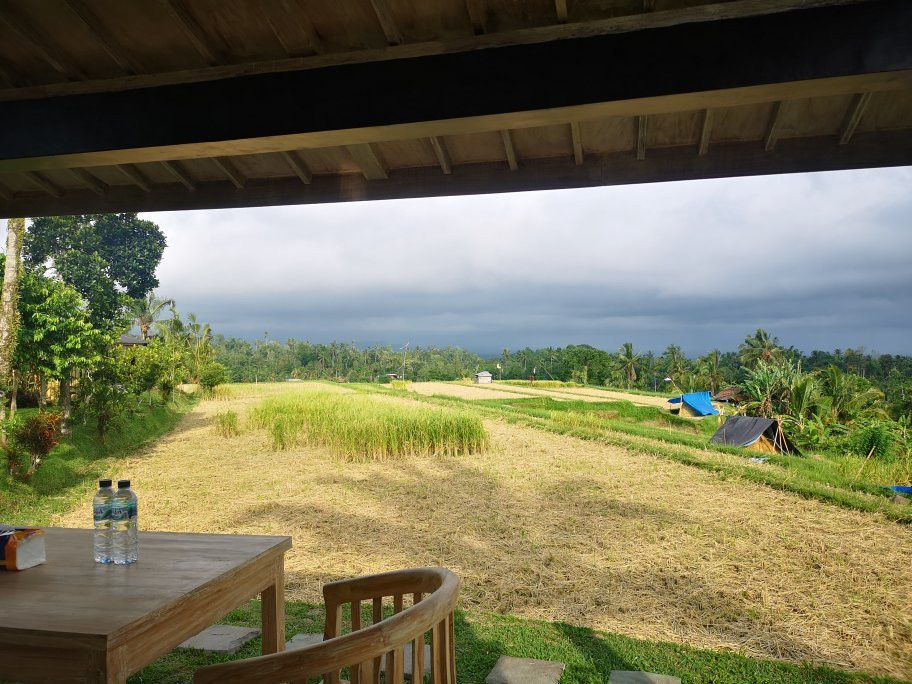 Kubu D’Ume Homestay主图