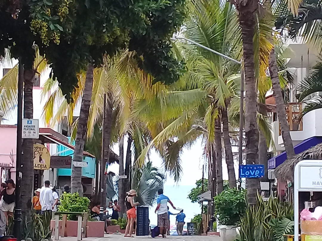 Sayulita Farmers Market/Mercado del Pueblo-利他必去景点