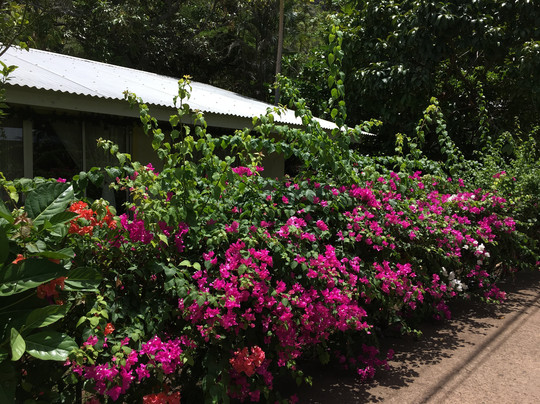 Chez Maurice et Delphine主图