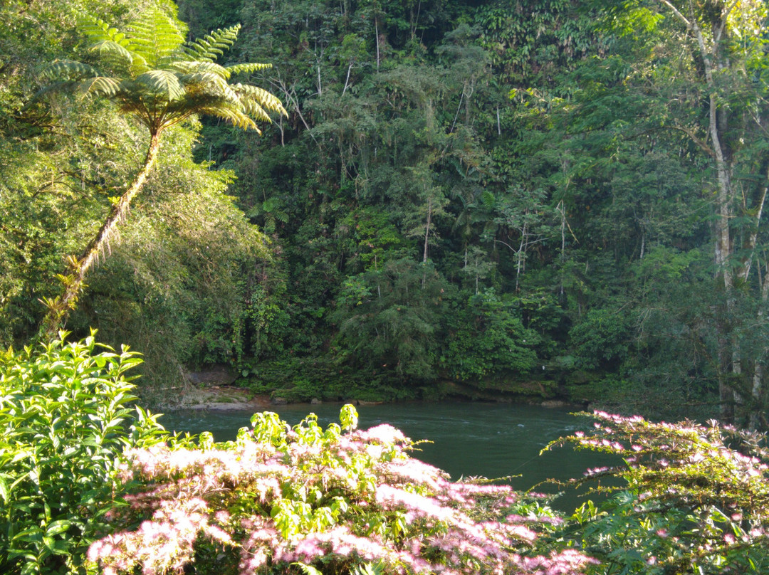 Playa Selva Lodge主图