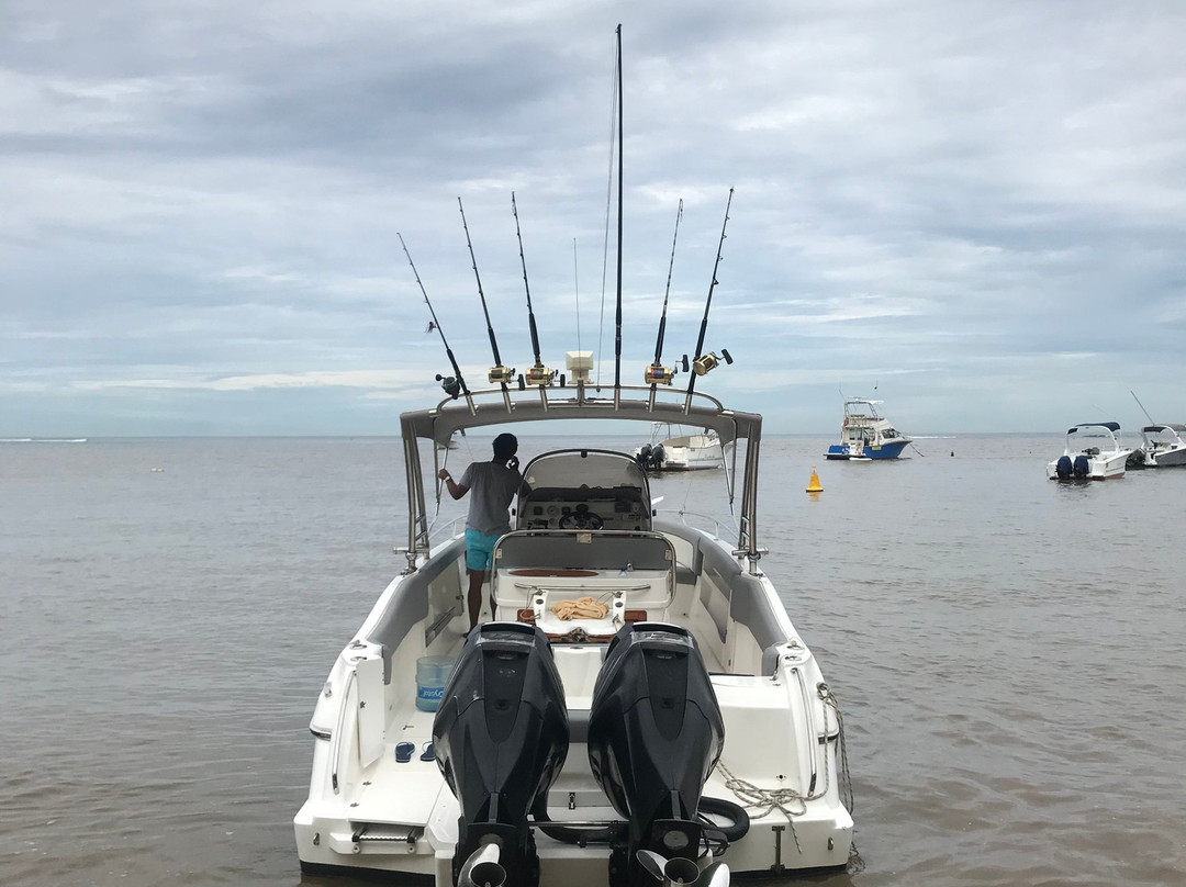 Mauritius Sea Discovery-阿尔比恩必去景点