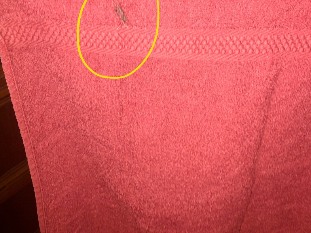 B&B Montebuono主图