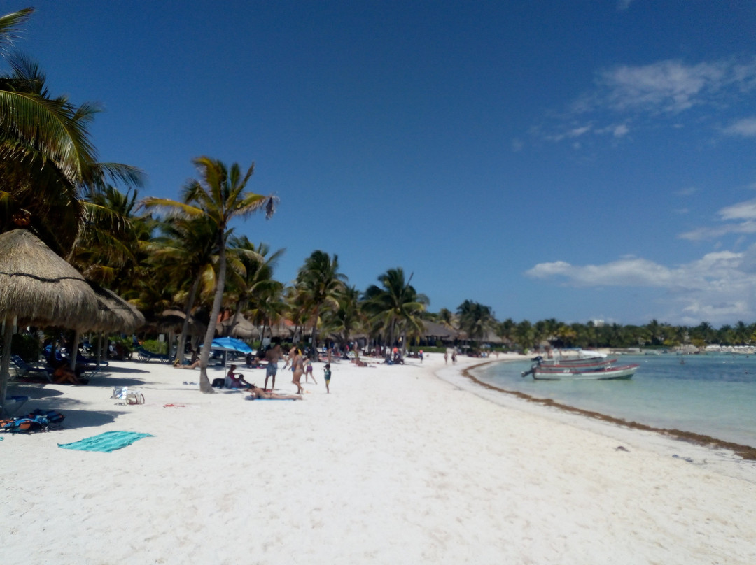 Centro Ecologico Akumal-艾库玛尔必去景点