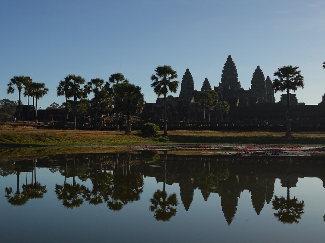 Best Siem Reap Tuk Tuk景点图片