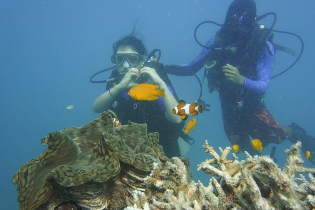 Ocean Tribe Scuba Diving-哈夫洛克岛必去景点
