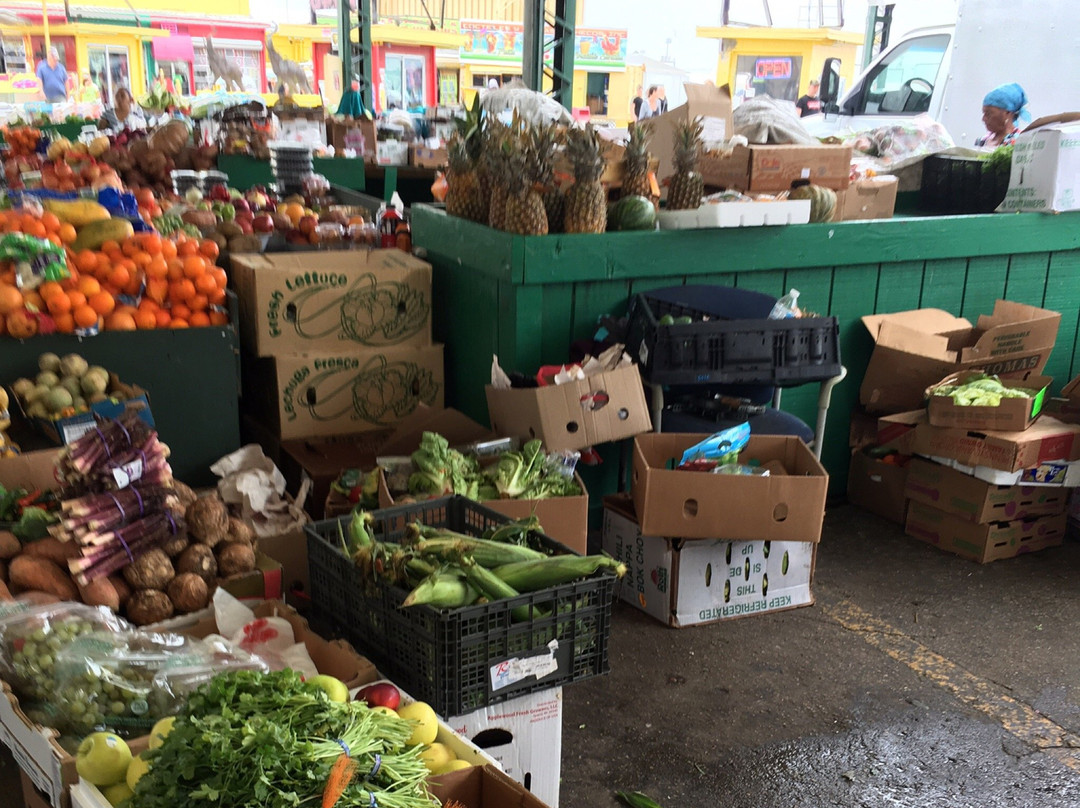 Swap Shop-劳德代尔堡必去景点