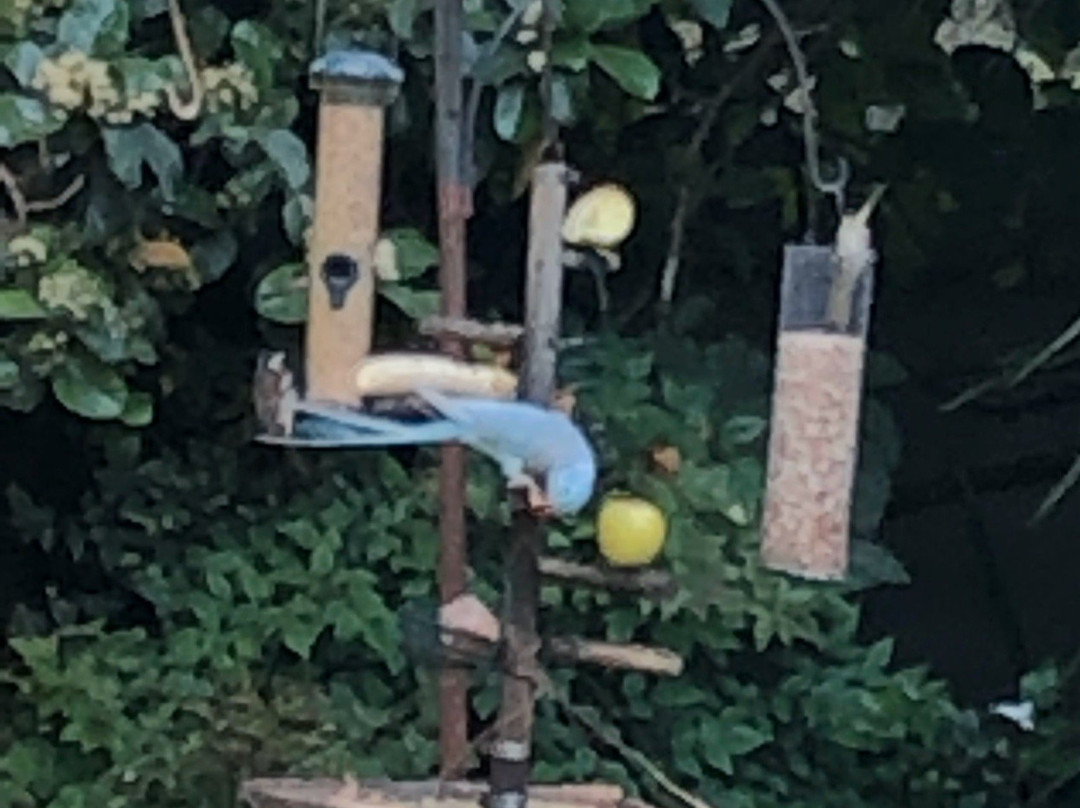 Liz at Lancaster Guesthouse主图