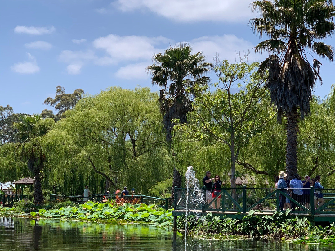 Blue Lotus Water Garden景点图片