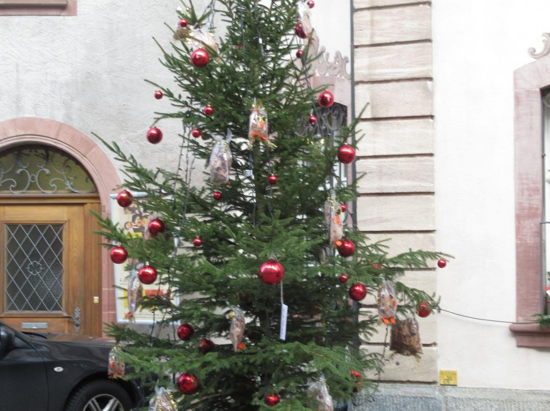 Tourismus Rheinfelden-Rheinfelden必去景点