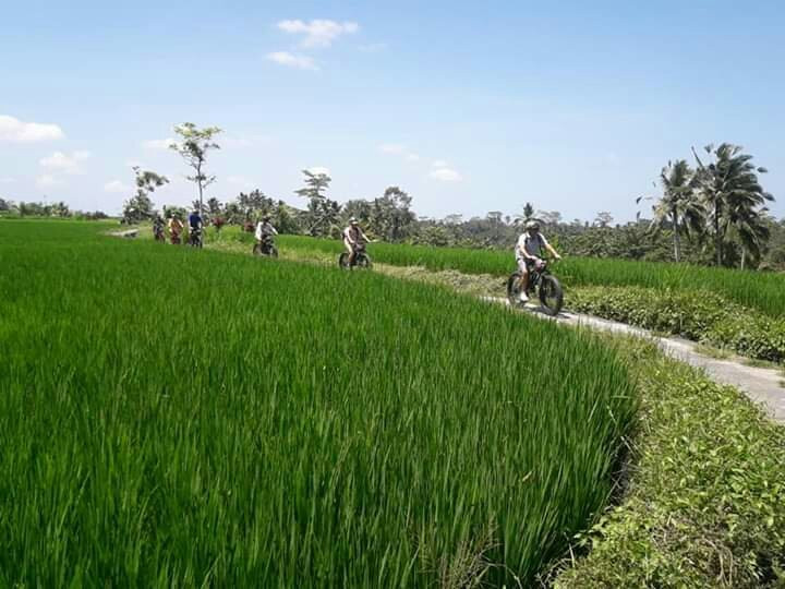 Tegalalang Riding Adventure景点图片