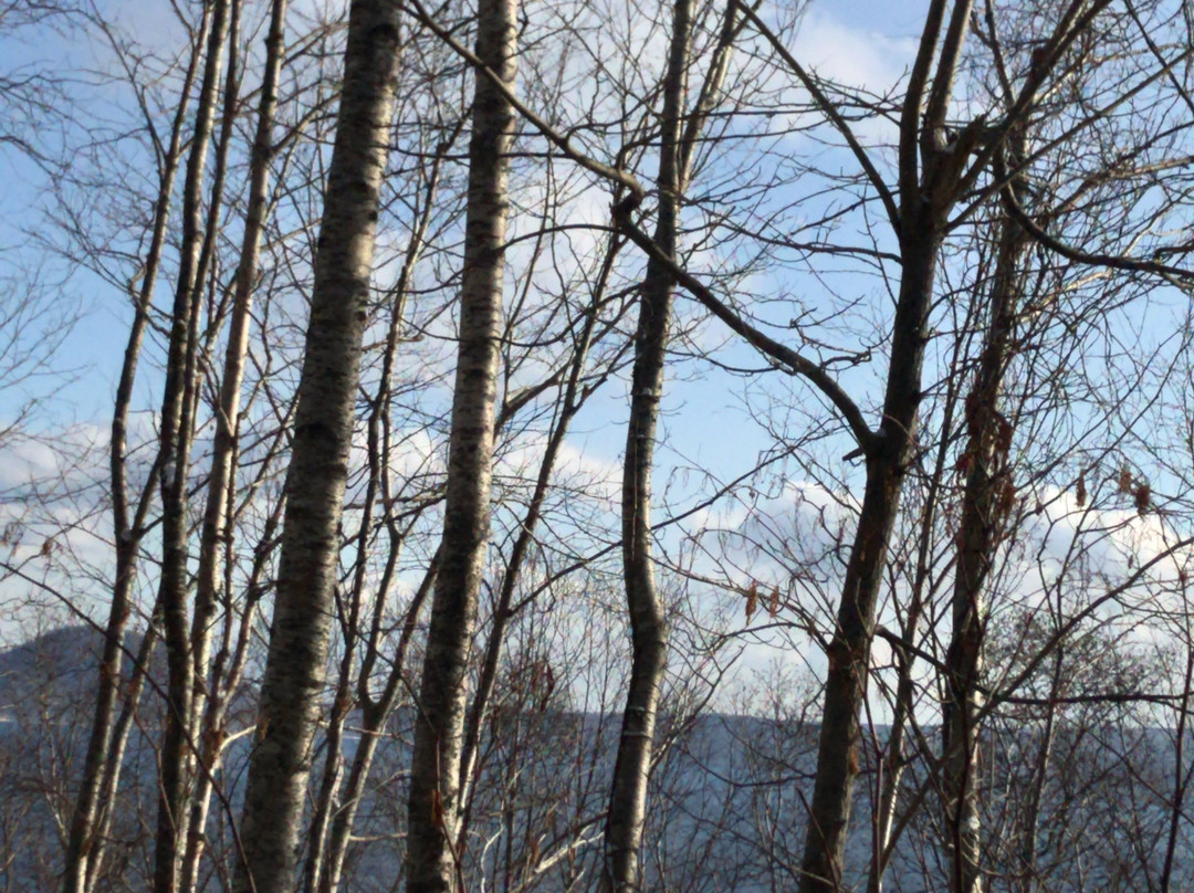 Shikotsu Lake Sky Road景点图片