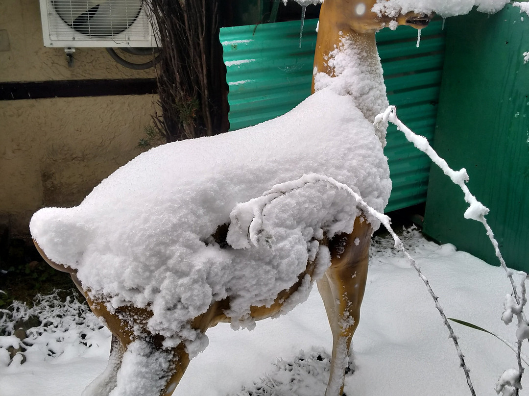 雪王修酒店主图