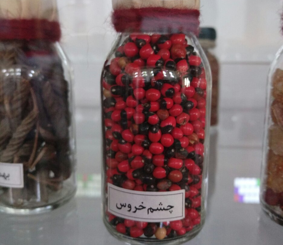 Dehdashti Edifice-Bushehr必去景点