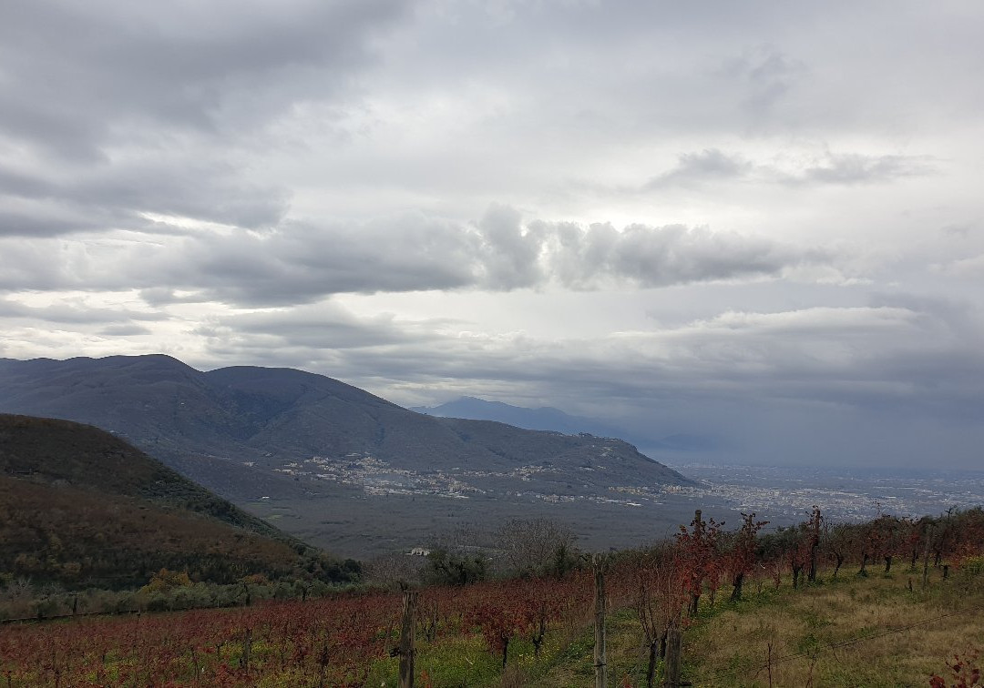 Eremo dei Camaldoli di Visciano景点图片